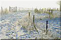 Gate on the track south from Willey Wood Farm