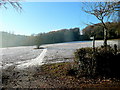 Footpath across a frozen field