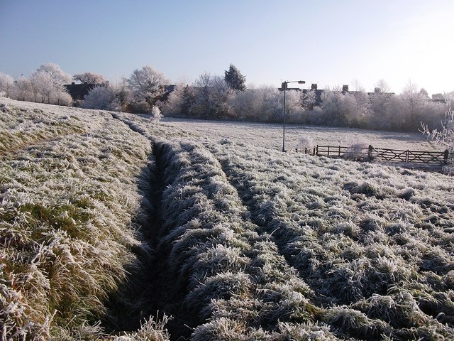 Frost at Cherry Orchard