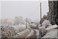 A heavy frost in Woodend Lane