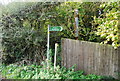 Footpath into Great Wood