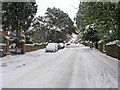 A snow covered Albury Road