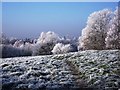 SP2972 : Frost at Cherry Orchard by John Brightley