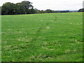 Footpath near Ousby