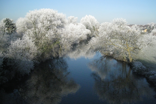 Hoar frost on trees by the Avon