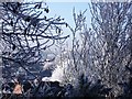 A frosty view from Knowle Hill nature reserve