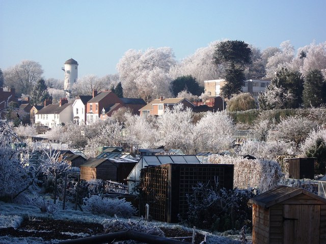 Frost at Odibourne allotments