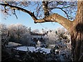 Frost at Odibourne allotments