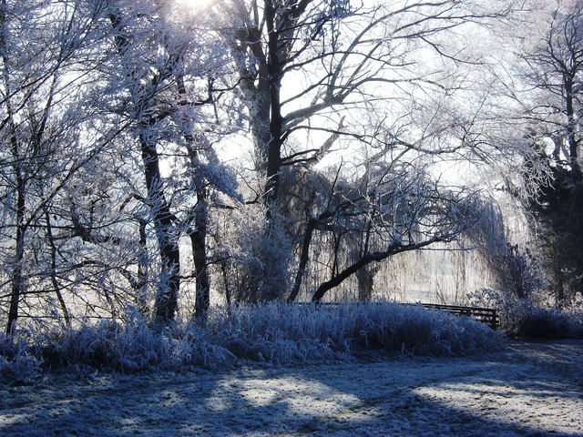 Frost on trees by Finham Brook in Abbey Fields