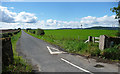 NU1011 : Country road near Bolton (3) by Stephen Richards
