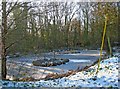 Frozen pond next to Habberley Lane