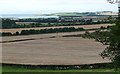 Farmland near Belford (2)