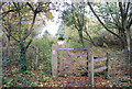 Kissing gate, 1066 Country Walk near Peens Farm