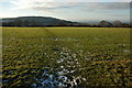 Bridleway below Wistley Hill