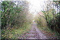 Steps, North Downs Way