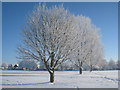 Foxhills Sports Field in the snow