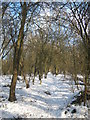 Footpath up hill in Cudham Frith