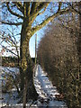 Footpath towards South Street