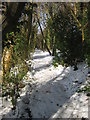 Footpath to Sutherland Avenue