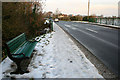 Bench by a bridge