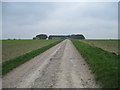 Track  to  Angus  Farm