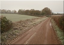 SS9912 : Lane to Rowridge by Derek Harper