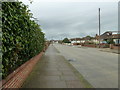 Looking northwards in Southsea Avenue