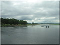 N0441 : Athlone: looking down the Shannon from The Strand by Christopher Hilton
