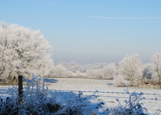 Farmland near Seighford