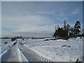 Snow at Gate Burton