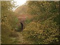 SS9912 : Aqueduct, Grand Western Canal by Derek Harper
