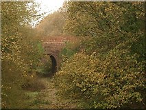SS9912 : Aqueduct, Grand Western Canal by Derek Harper