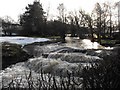 A raging torrent immediately below the ford