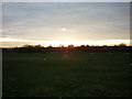 Looking across Mudchute Park in the morning light