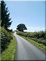 ST3694 : Road SW to Llanhennock by Jaggery