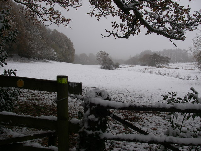 Meadows in winter