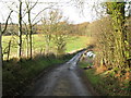 View along Green Lane