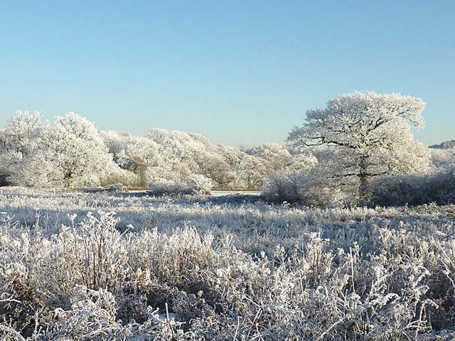 Hoar frost near Colton Hills, Wolverhampton