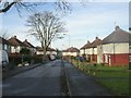 Barham Terrace - viewed from Damon Avenue