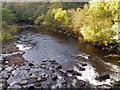 The River Swale from Lowenthwaite Bridge