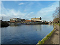 Canal junction, Hackney Wick