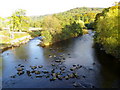 The River Swale from Lowenthwaite Bridge