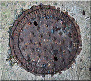 J5081 : Manhole cover, Bangor by Rossographer