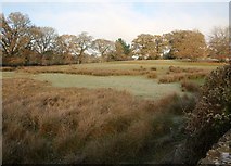 SS9914 : Rushy field near the Lowman by Derek Harper