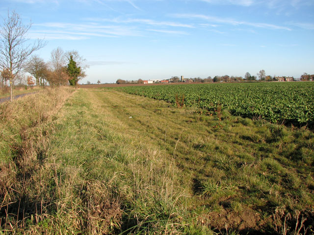 View along a field margin beside The Windle