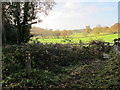 Henley Park footpaths