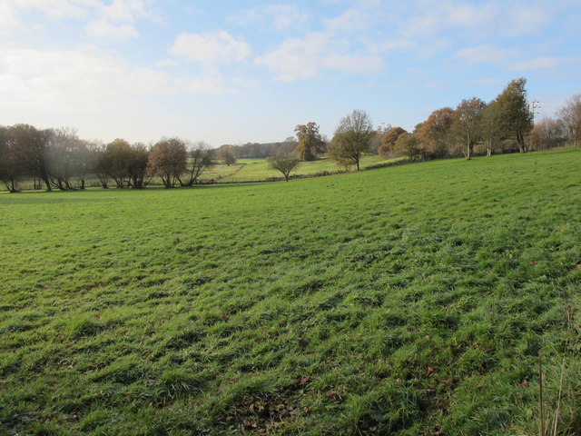 Fields, Henley Park © Paul E Smith cc-by-sa/2.0 :: Geograph Britain and ...