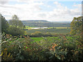 Farmland west of Westhope