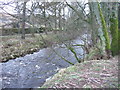 River Cover near Horsehouse, just downstream from Arkleside bridge