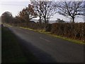 View south on Bepton Road towards Bepton